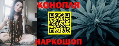ALPHA PVP Гай