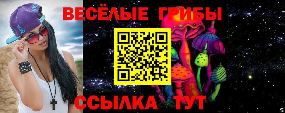 Галлюциногенные грибы мицелий  где найти наркотики  Пушкино  Вход с VPN 